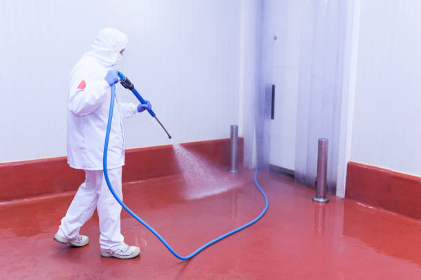 Best Factory Floor Cleaning  in Dano, CO